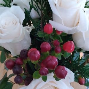 Meet your Posher, Debbie